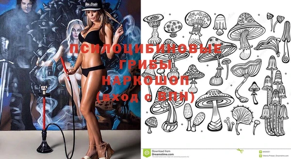 сатива Киреевск