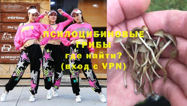 mdpv Кинешма