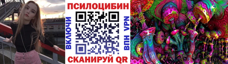 Псилоцибиновые грибы мицелий  Купить где  Сосновка 